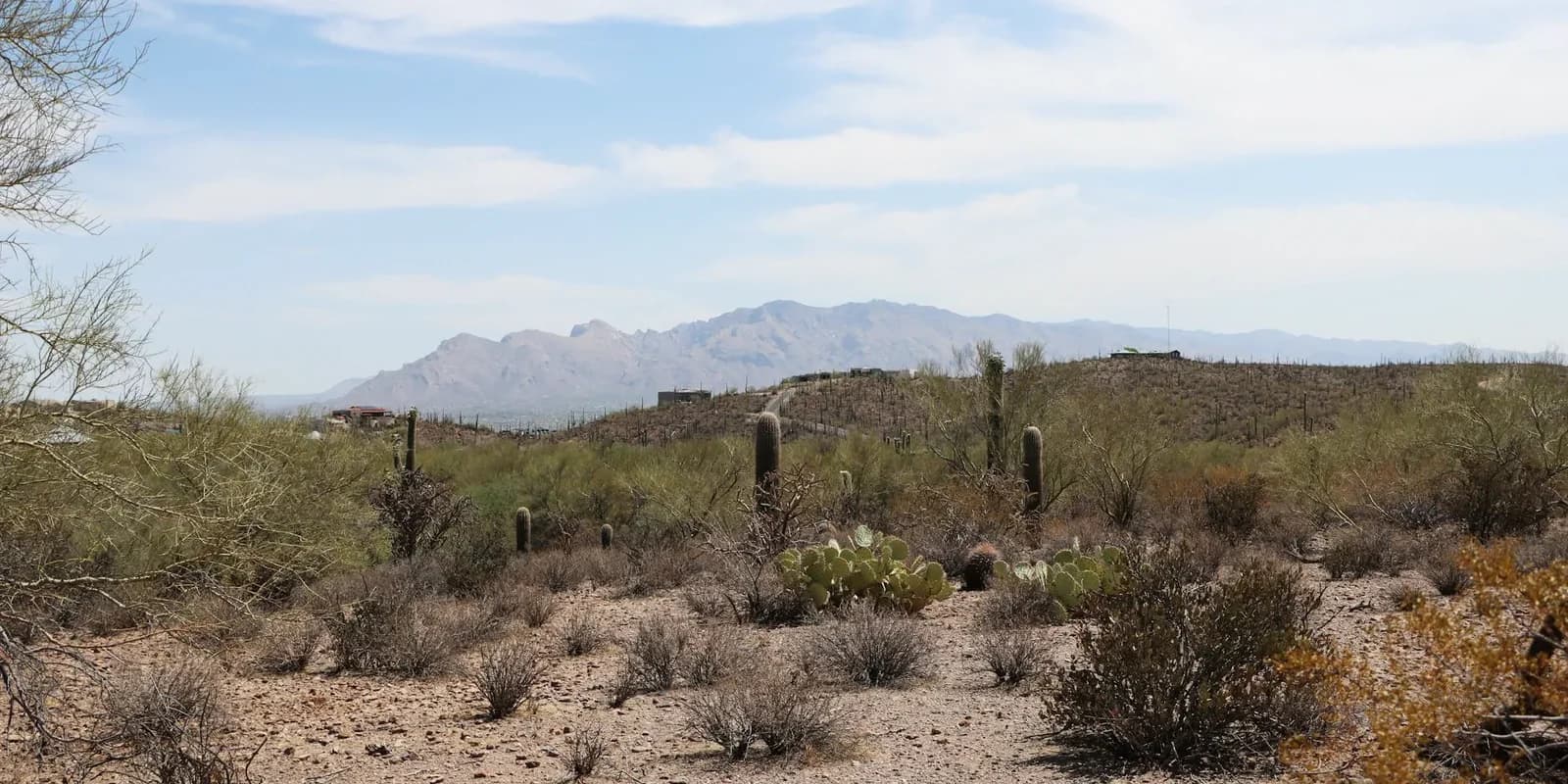 City photo of Tucson, United States