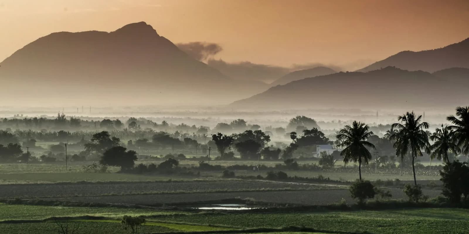 Country photo of India