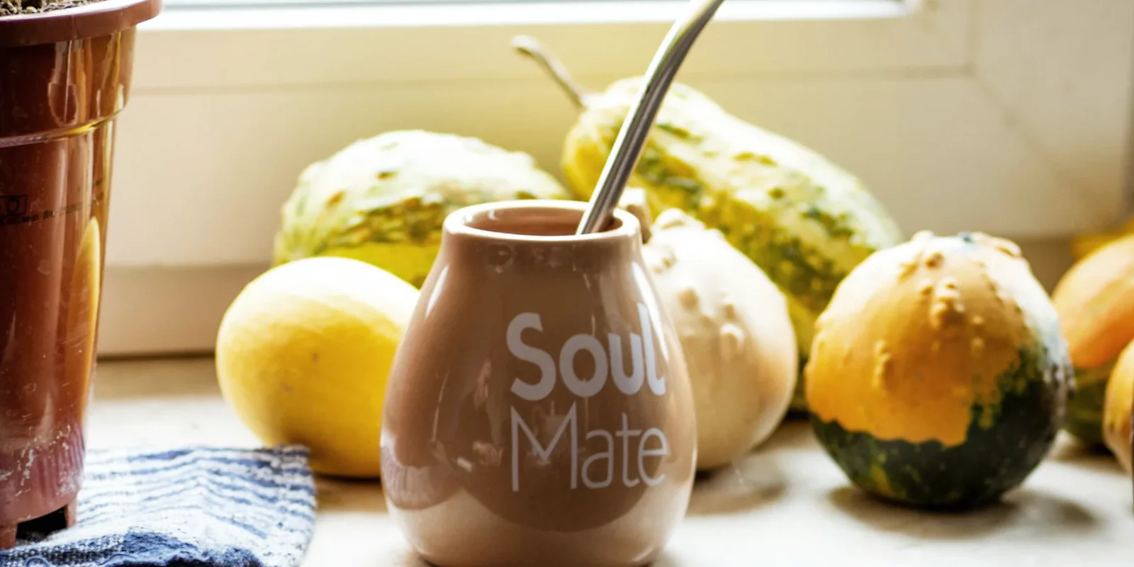 Country photo of Paraguay