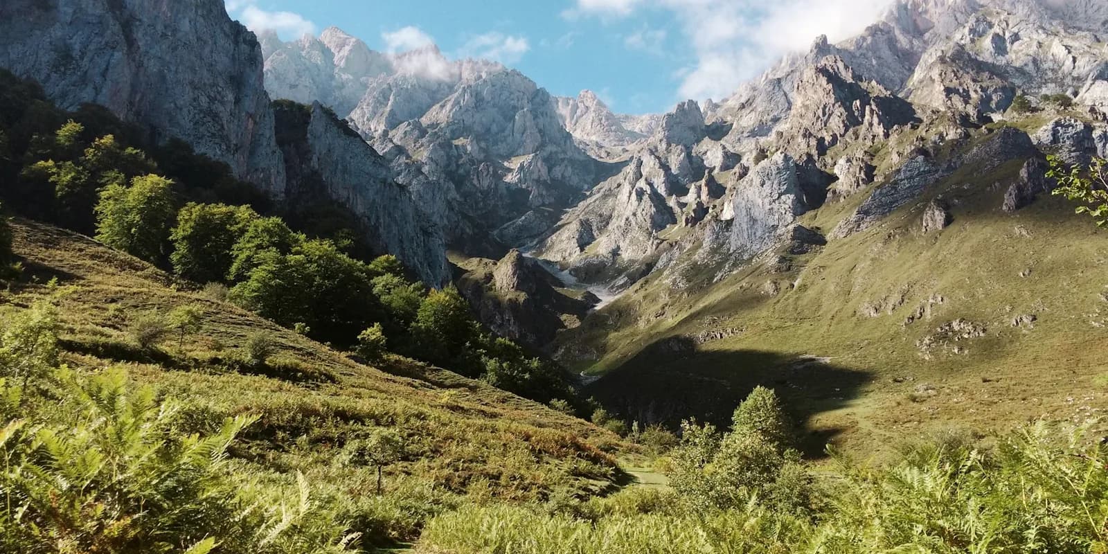 Country photo of Spain